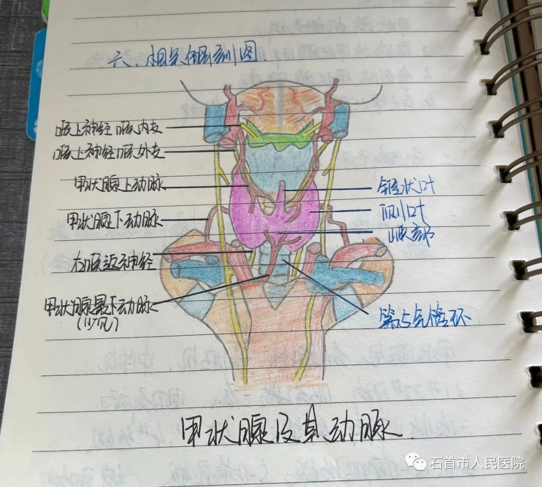 微信图片_20220611090807.jpg
