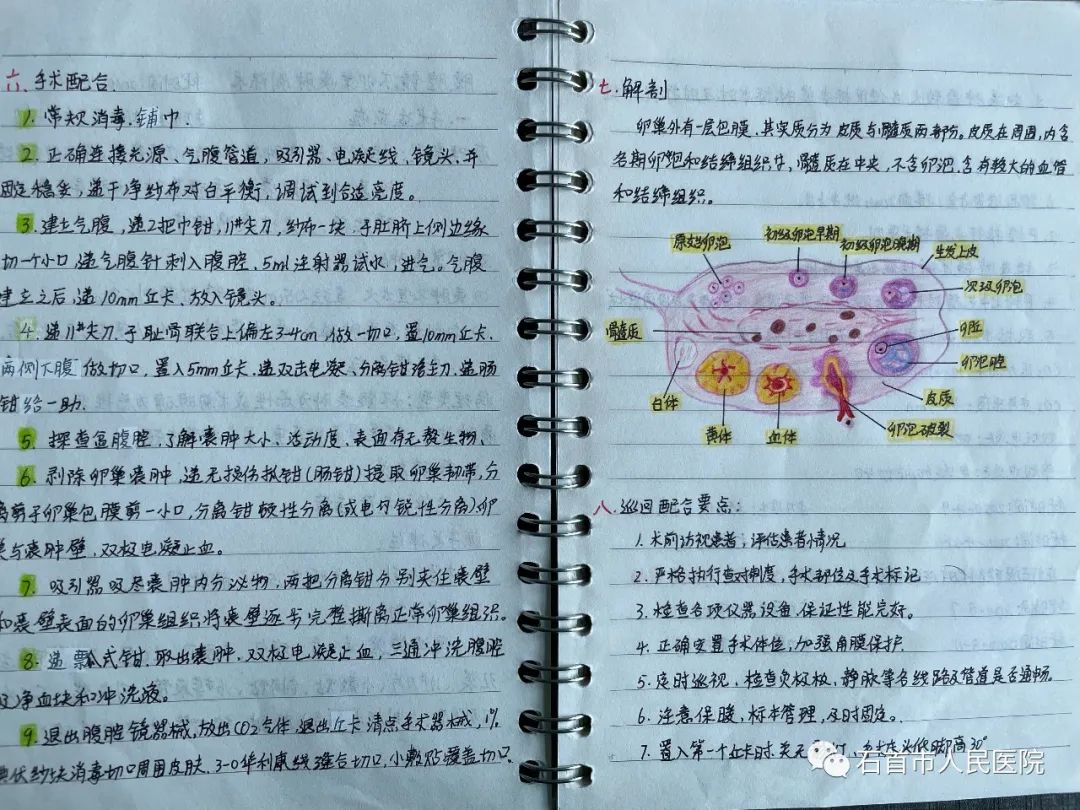 微信图片_20220611090827.jpg
