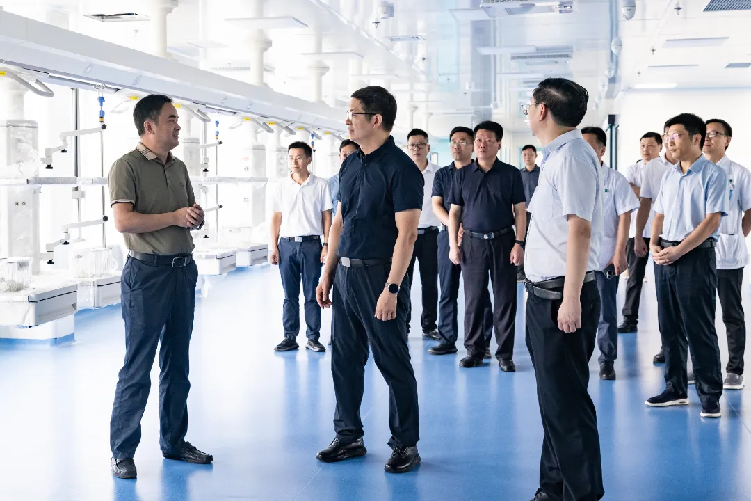 市委书记王敏调研人民医院医疗服务体系建设工作